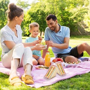 Triangle Sandwich Container三角形三明治容器可清洗三明治盒