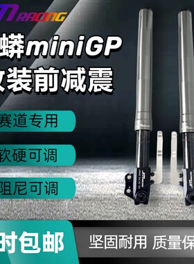miniGP改装前减震避震预载可调阻尼可调巨蟒华洋功泰等miniGP通用