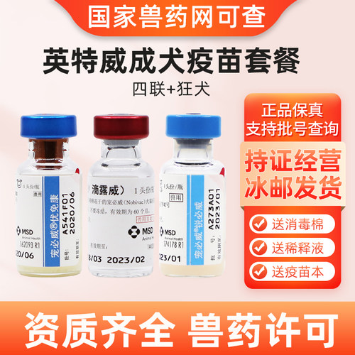 英特威宠必威荷兰防疫狗狗预防