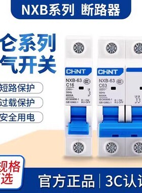正泰昆仑断路器小型家用空气开关NXB-63单匹1P2P3P4P C32A63A100A