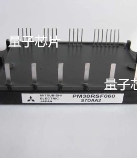 PM30RSF060