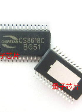CS8618 CS8618C 音频放大器 TSSOP-28