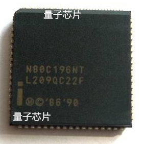 N80C196NT全新原装N80C196/N80C196N  80C196  PLCC-68