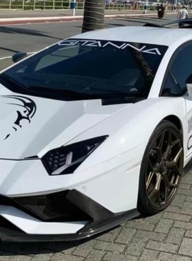 兰博基尼小牛车贴拉花 Huracan performante EVO赛道版车身贴纸