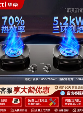 华帝燃气灶i10309家用煤气灶双灶台嵌两用液化气灶官方正品309D