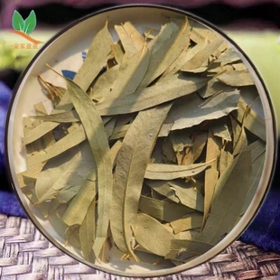 植物尤加利干枝叶片 桉树叶干枝叶可做香熏原料香包