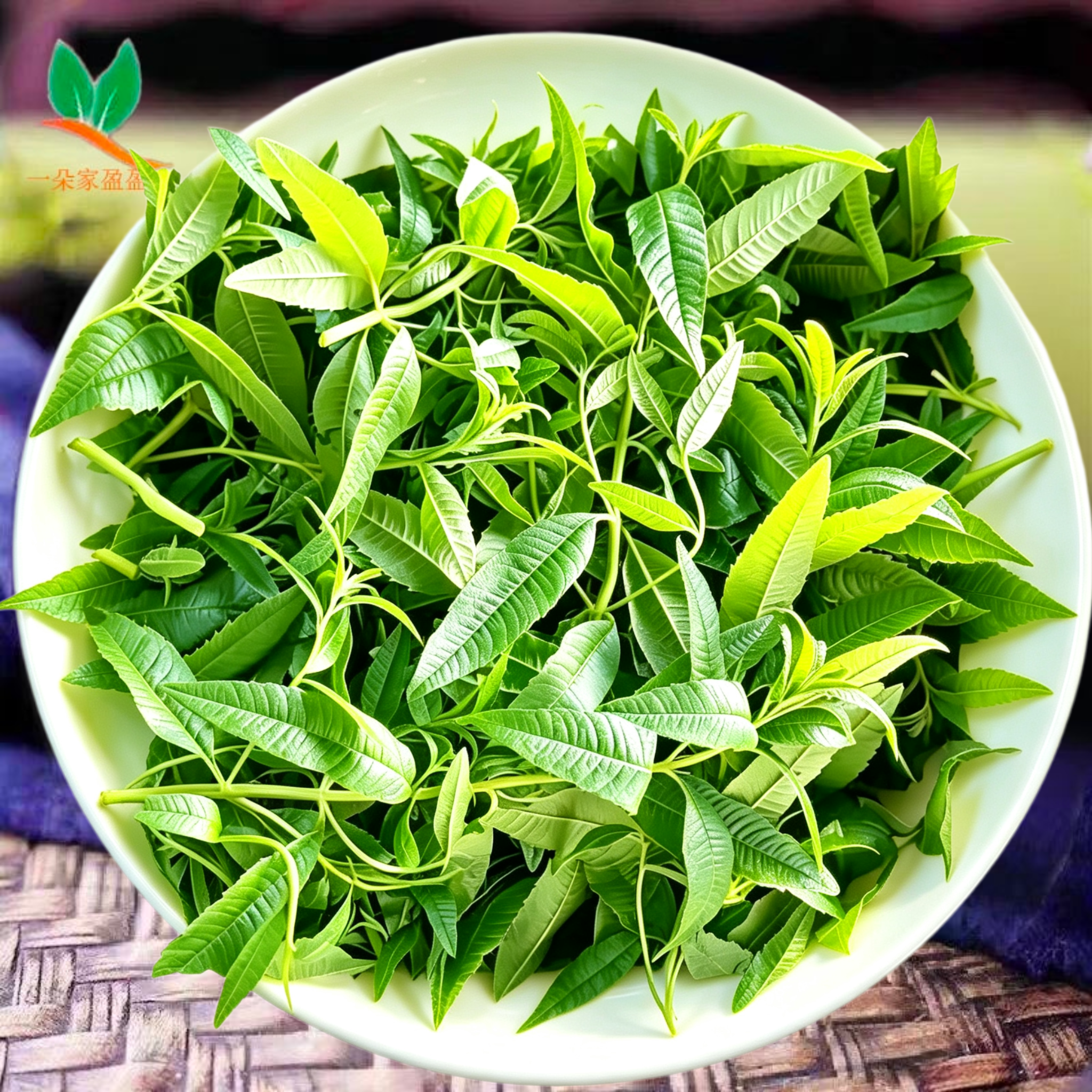 2026新鲜柠檬马鞭草 马鞭草枝叶 酒店装饰摆盘芳香植物香薰疗愈