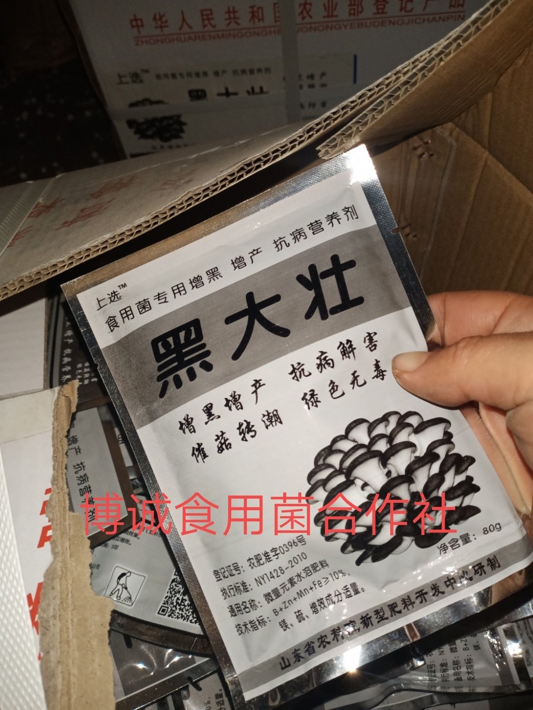 平菇增厚增黑喷施 黑大壮营养叶面肥 食用菌粉剂加黑加厚增产增亮