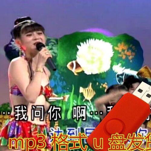 十二大美女歌曲U盘闽南语台语车载优盘经典老歌花仙子无视频
