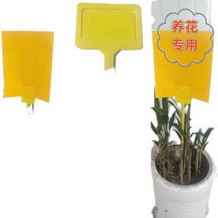 卡粘虫板黄板蓝板支撑黄色支架小飞虫蓟马板材诱虫板支撑架