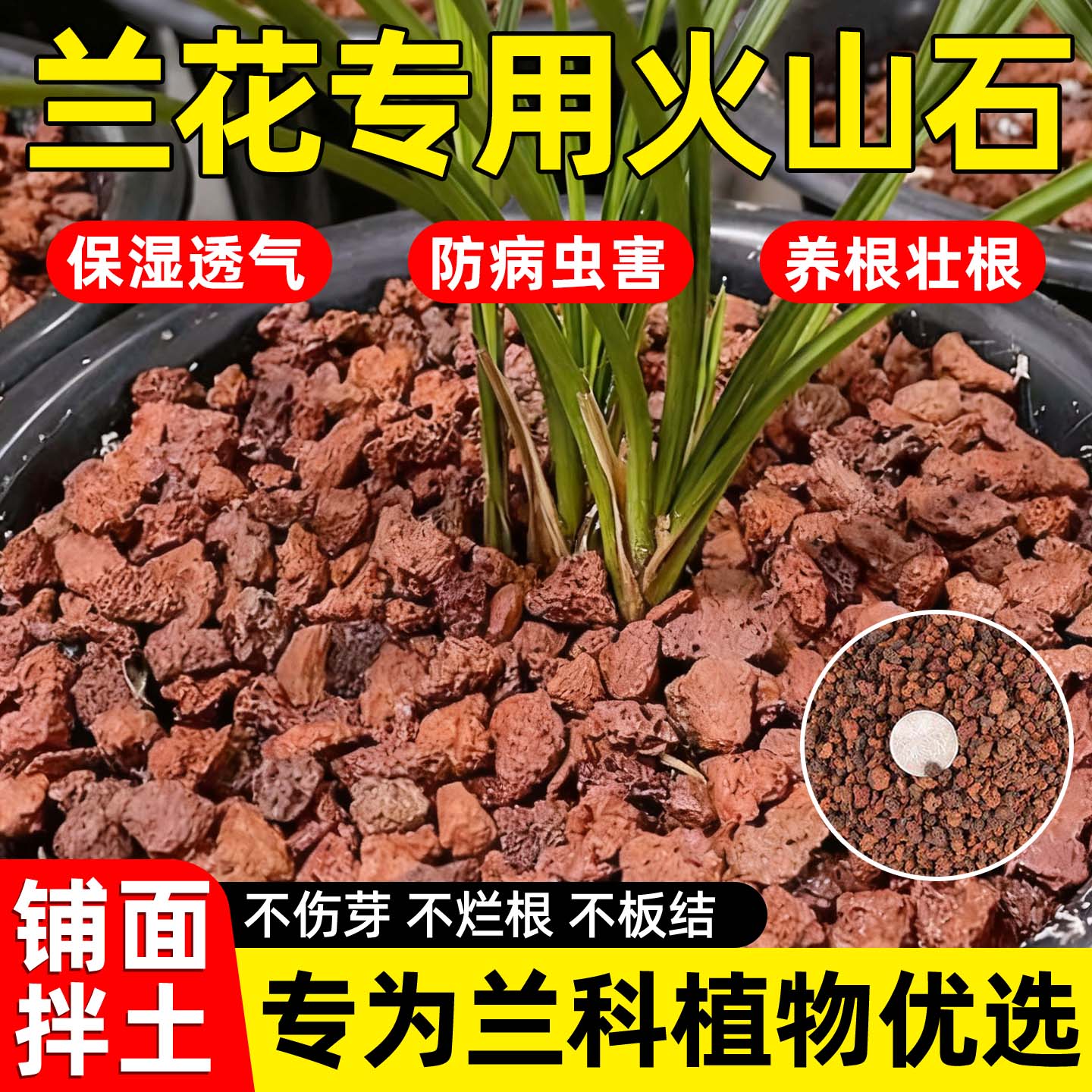 兰花专用火山石颗粒养花多肉植物通用营养土植料铺面石料拌土垫底