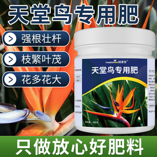 天堂鸟专用肥强根壮杆枝繁叶茂