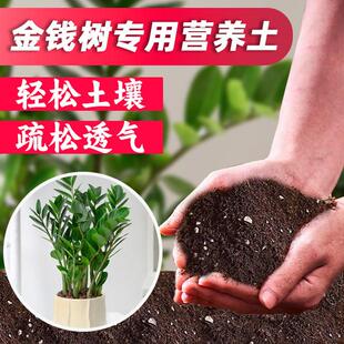 金钱树专用土花土营养土通用种金钱树肥料专用肥盆栽泥土种植土壤