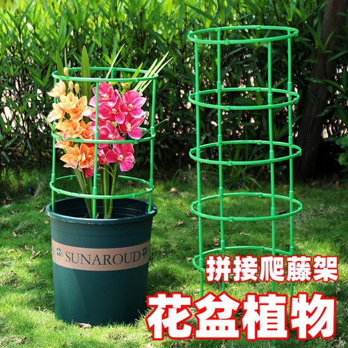 花架支架支撑圈可无限植物托架