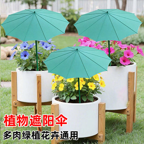 植物遮阳伞多肉花卉盆景盆栽防晒伞花园庭院地插款遮阴防晒保护伞