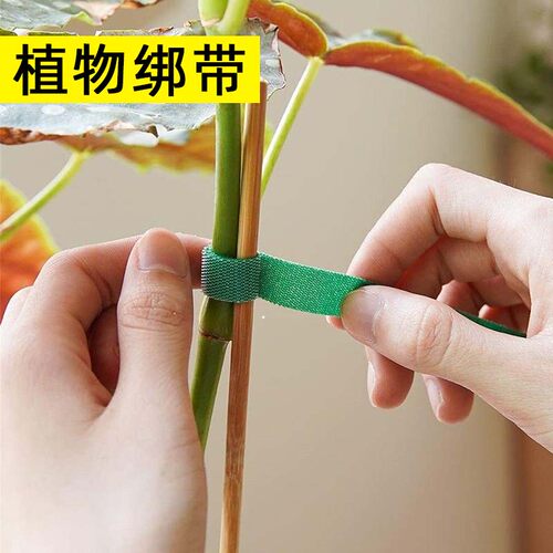 植物绑带爬藤双面整理捆绑绿植