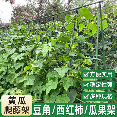 黄瓜爬藤架豆角架菜四季豆架子