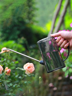 不锈钢长嘴浇水壶大号1.5L养花种菜植物浇花浇菜家用淋洒水壶园艺