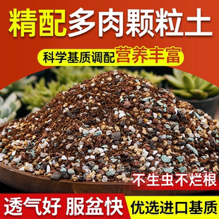 多肉颗粒土专用营养土多肉花土壤铺面泥炭土叶肉叶扦插老桩基质土