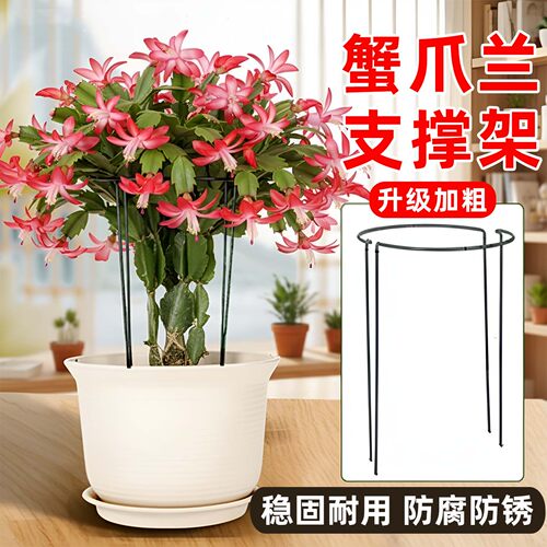 圆形半圆防倒伏植物支撑花架