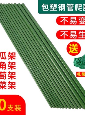 爬藤架花架葡萄番茄豆角黄瓜架子包塑钢管植物种菜搭架园艺支撑杆