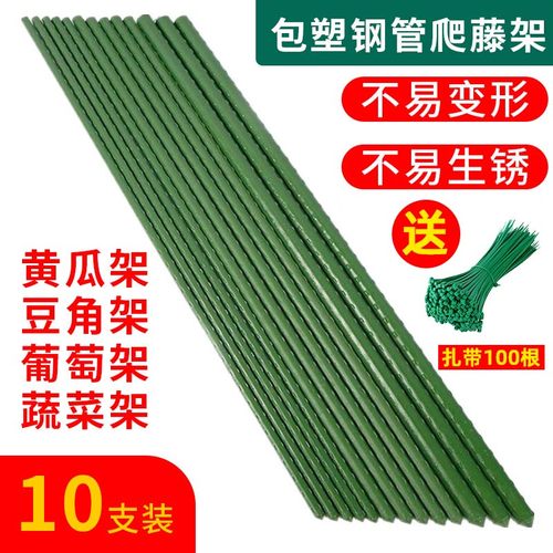 包塑钢管月季豆角番茄黄瓜爬藤架