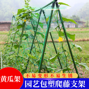 黄瓜架种菜爬藤架豆角支架阳台庭院蔬菜固定架杆柱园艺攀爬牵引杆