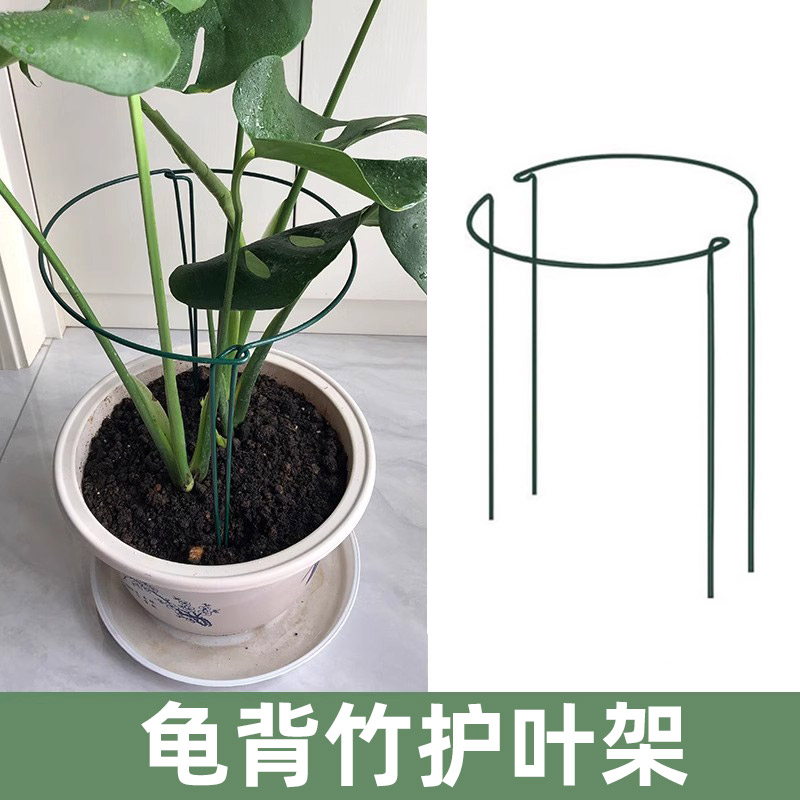 铁艺龟背竹专用护叶架金钱树植物
