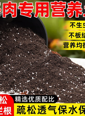 多肉专用营养土多肉土颗粒透气疏松泥炭种植土壤植物铺面肥料花土