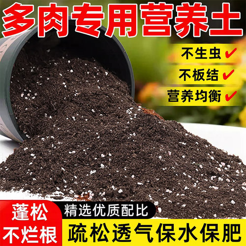 多肉专用营养土透气疏松泥炭