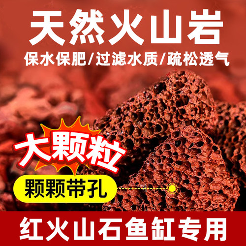 火山石颗粒岩原兰花多肉盆栽专用