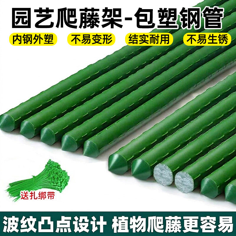 黄瓜架蔬菜架菜杆植物固定支撑杆