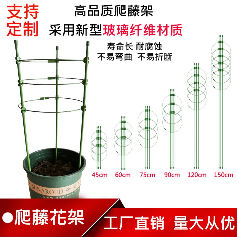 藤架支架月季花架植物室内花卉支