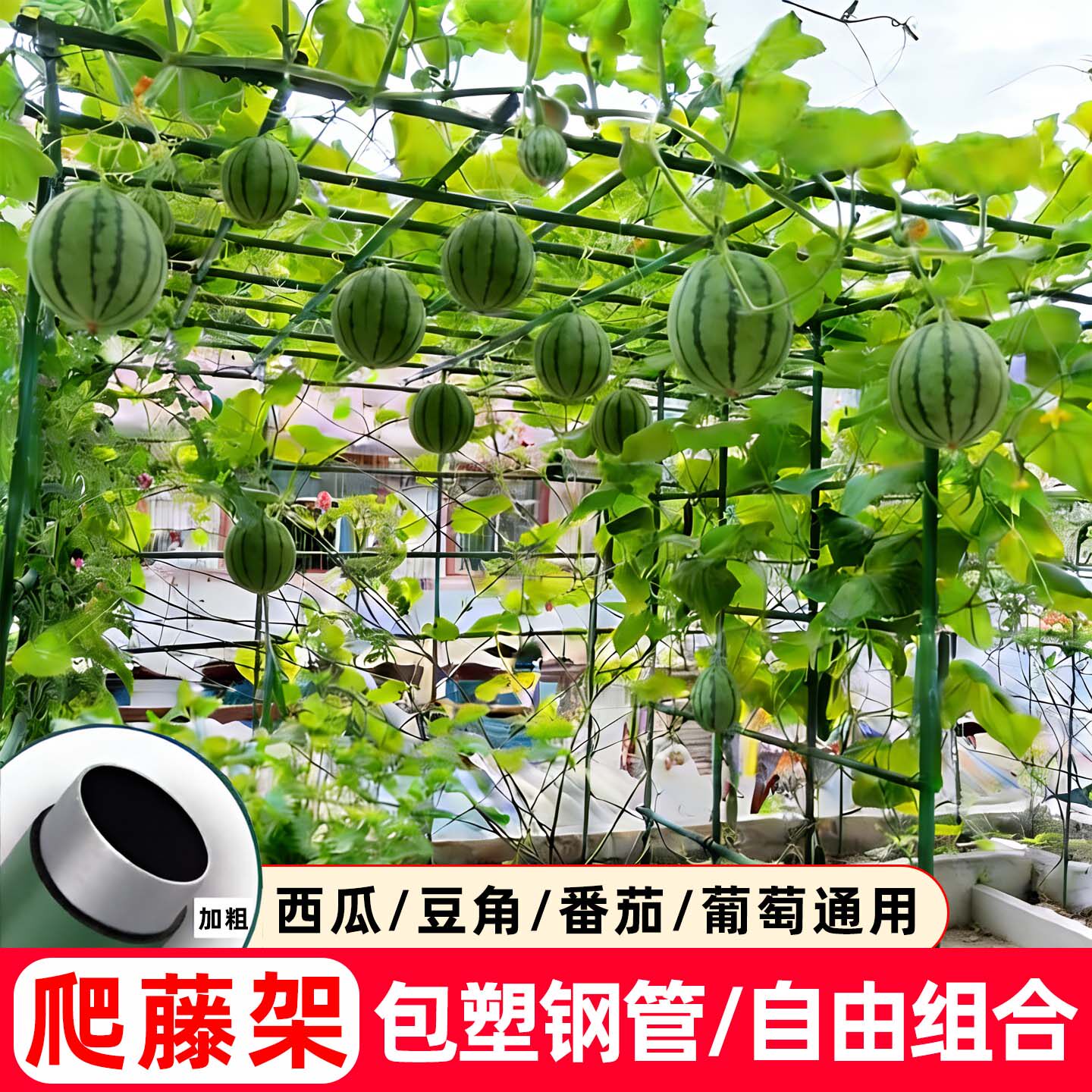 庭院户外爬藤架黄瓜豆角西瓜葡萄架包塑钢管园艺支架子植物支撑杆