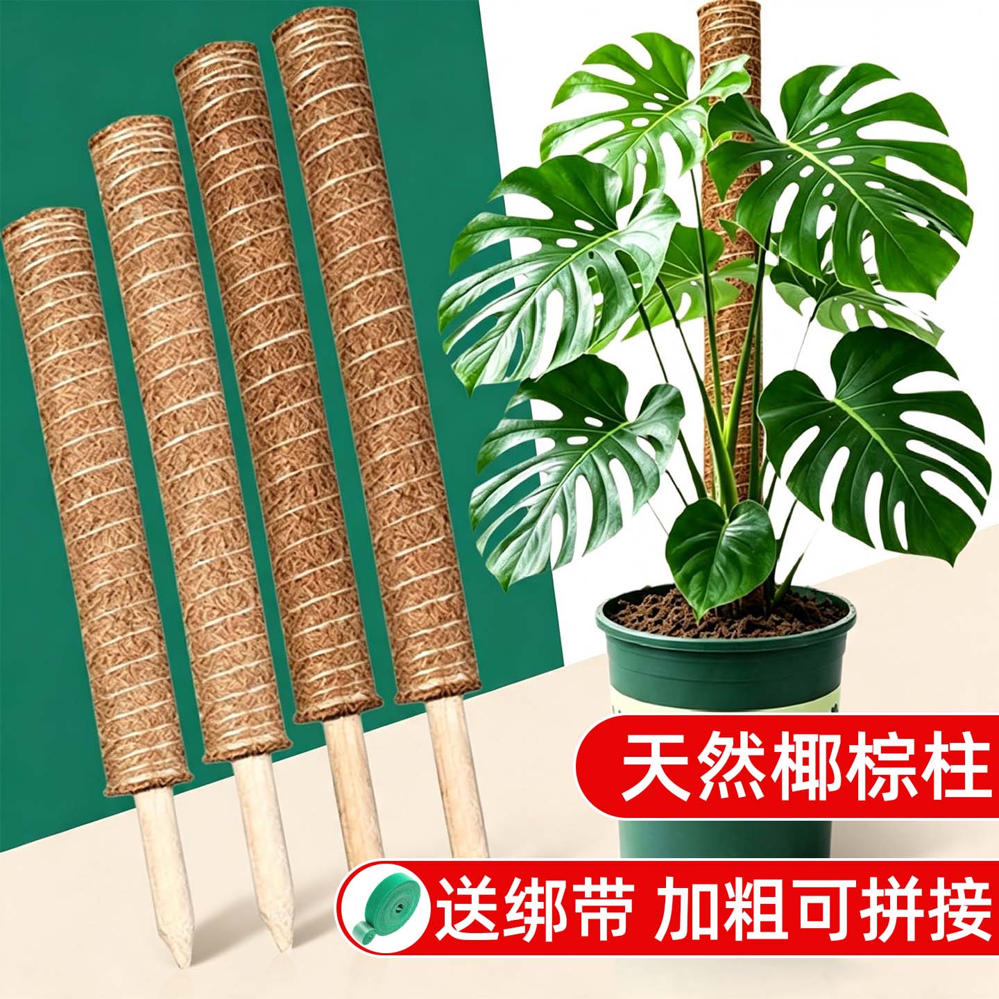 植物支撑杆椰棕棒防倒伏图片