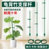 植物支撑杆龟背竹花支撑架绿植园艺蔬菜番茄爬藤架防倒伏固定神器