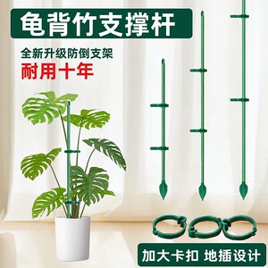 带地插植物防倒伏支撑杆固定神器