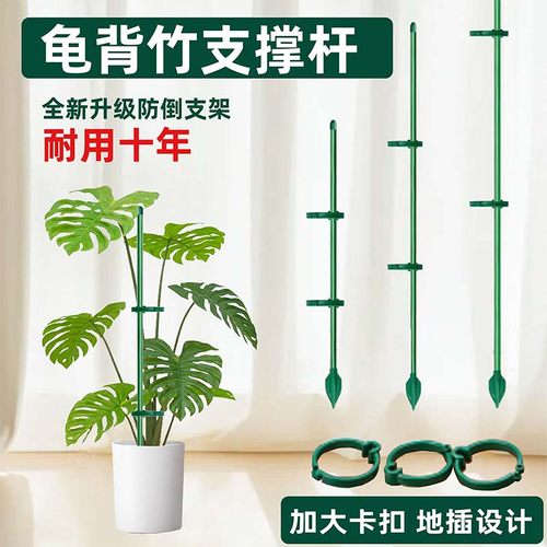 带地插植物防倒伏支撑杆固定神器