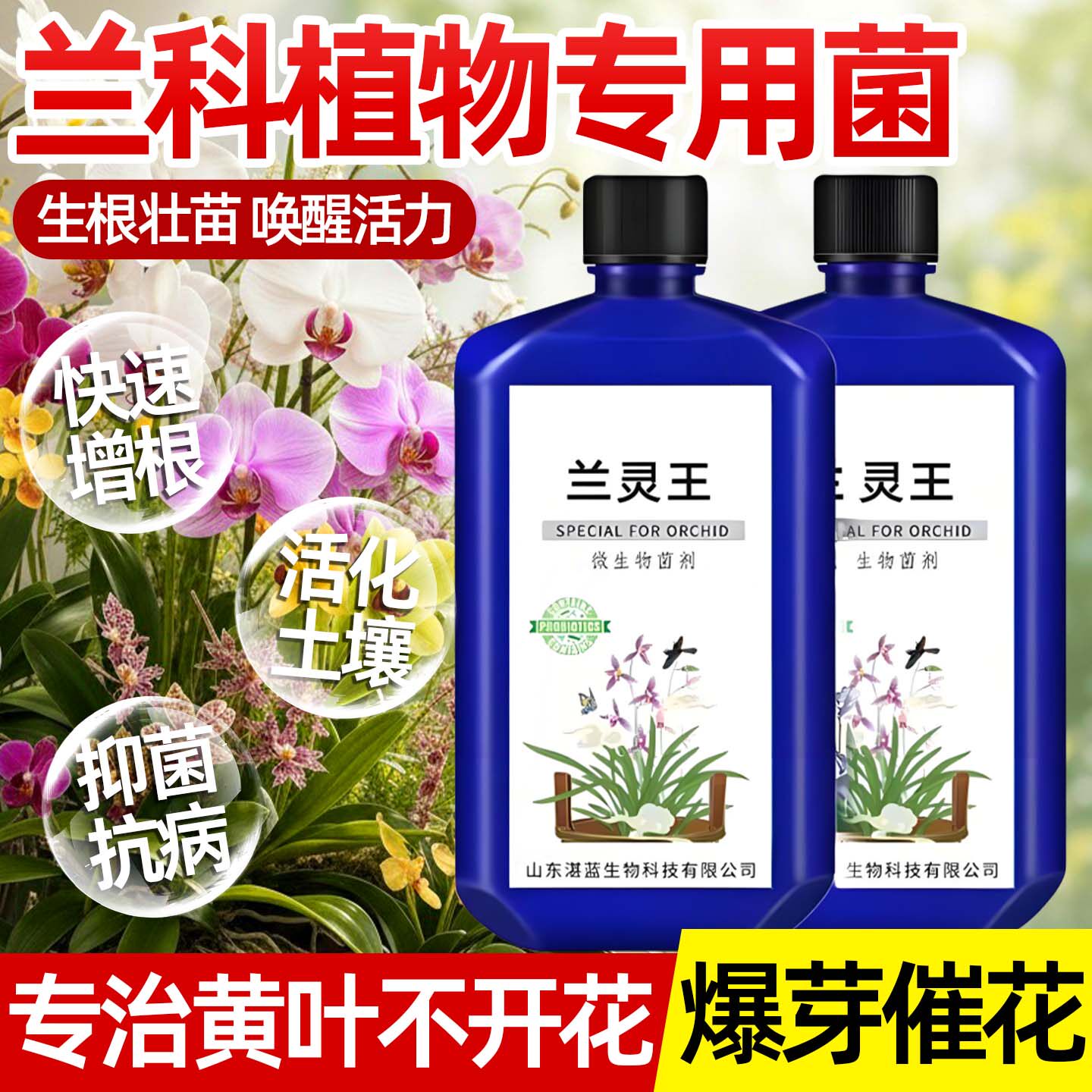 兰灵王兰花专用营养液肥料蝴蝶兰花专用肥君子兰活化剂多箭催花素