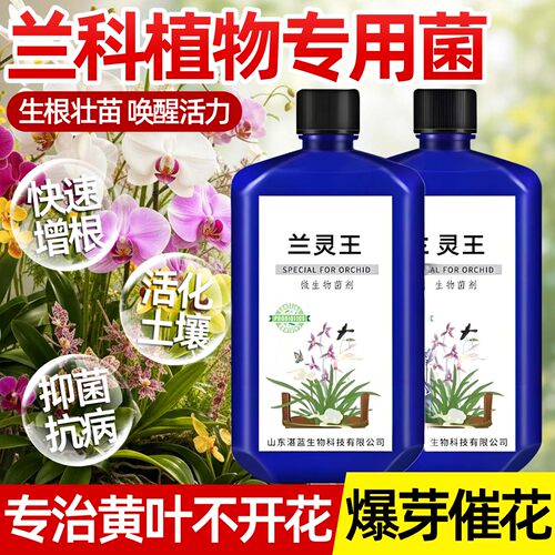兰灵王兰花专用营养液多箭催花素