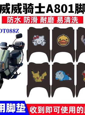 适用国威威骑士A801电动车脚垫TDT088Z国威A180丝圈防水脚踏板垫