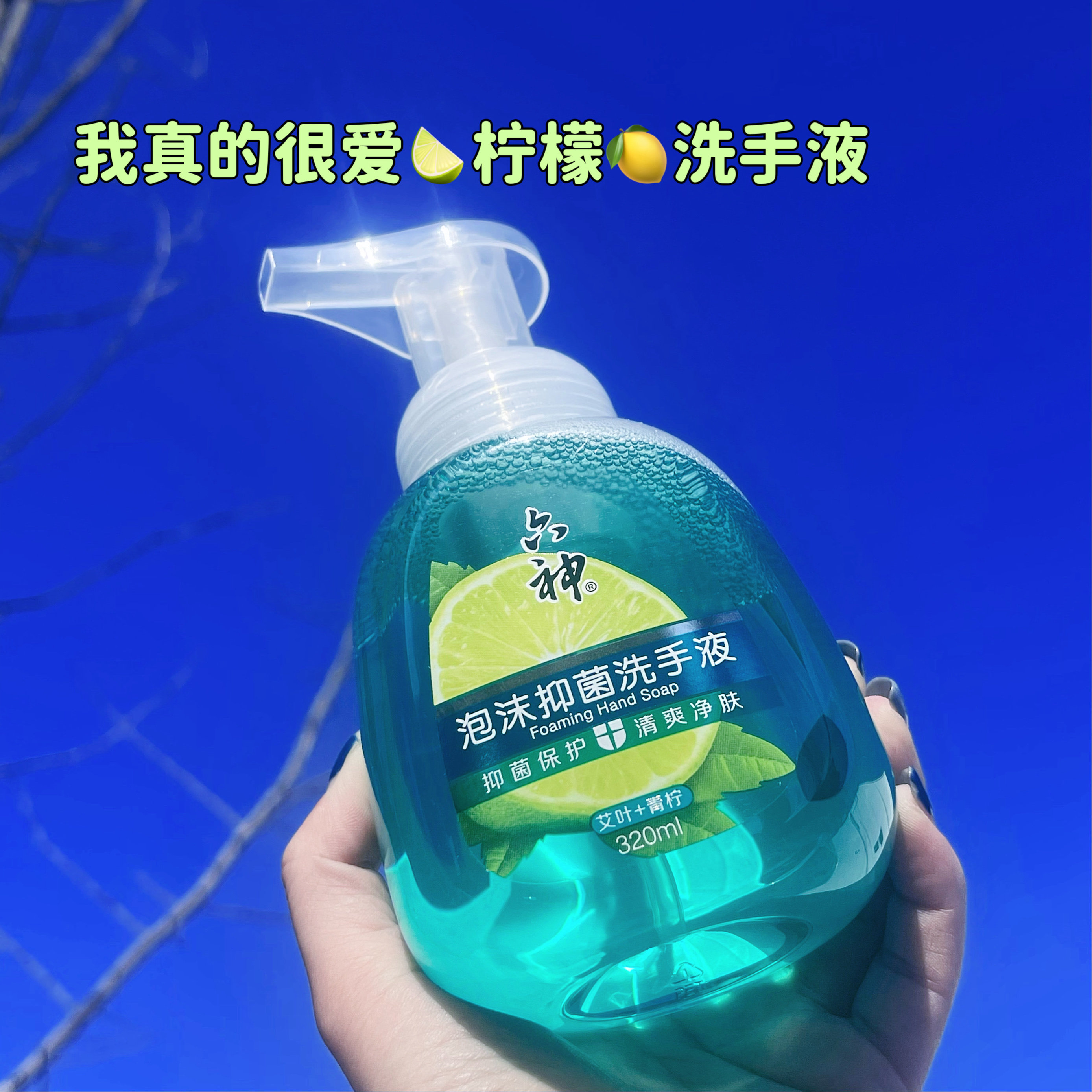 六神泡沫洗手液艾叶青柠抑菌清爽按压青柠洗手液320ml