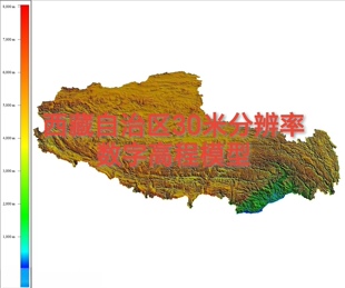 西藏自治区30米分辨率哥白尼DEM高程数据全国DEM西藏DEM西藏DSM