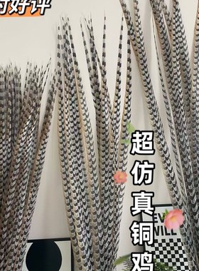 戏曲翎子京剧豫剧孙悟空武生花翎舞台演出雉鸡毛翎子羽毛表演装饰