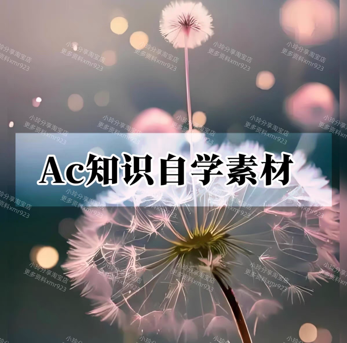 ac课 Ryan-2025黄金la能量视频及音频8节 第五元素百度网盘资料