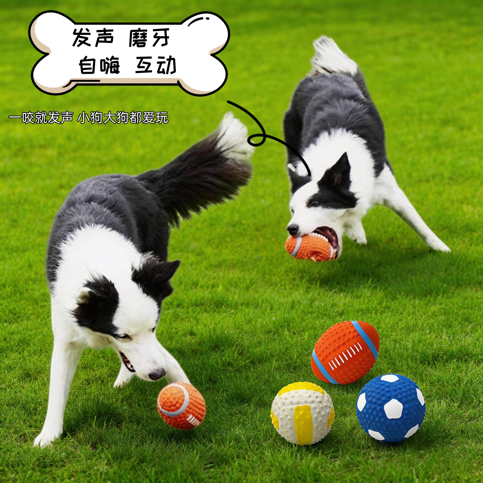 橡胶球狗狗玩具发声互动足球橄榄球排球磨牙耐咬清洁牙齿宠物用品