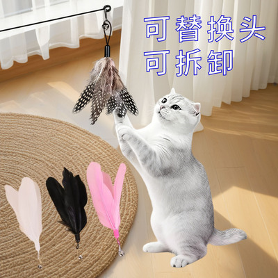 CFA赛级羽毛逗猫棒耐咬自嗨