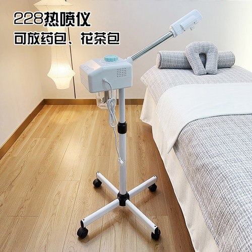 包邮泰东美容院加湿器面部喷雾机