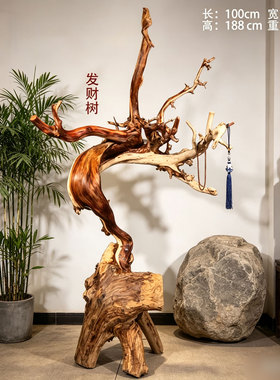 太行崖柏落地大摆件 天然随型 屏风 室内造景 展厅装饰茶室发财树