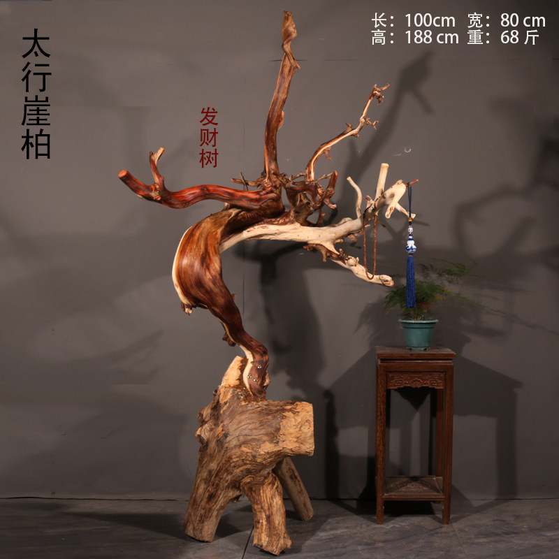 太行崖柏落地大摆件  室内造景展厅装饰茶室发财树 天然随型 屏风